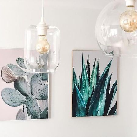 Los Cactus 1 ลาสปัลมาส เด กรานคานาเรีย ภายนอก รูปภาพ