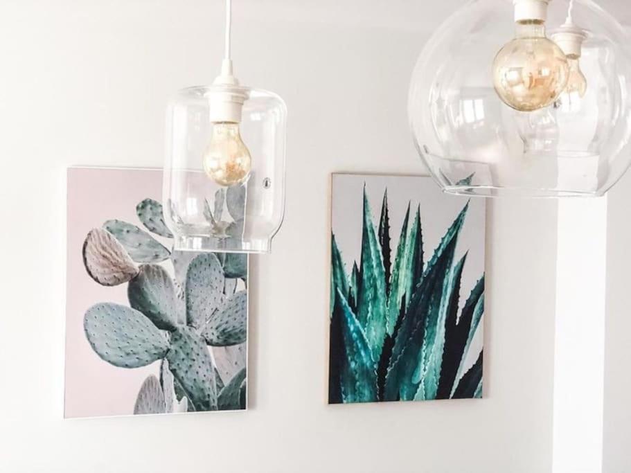 Los Cactus 1 ลาสปัลมาส เด กรานคานาเรีย ภายนอก รูปภาพ